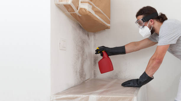 Professional Crawl Space Mold Remediation technician working in Hickory Corners, MI