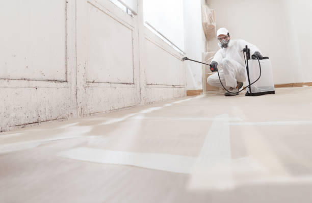 24/7 Emergency Crawl Space Mold Remediation experts in Hickory Corners, MI