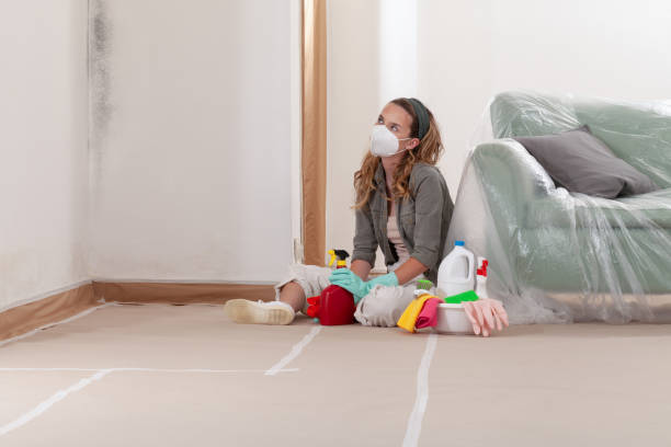 Reliable Crawl Space Mold Remediation contractor in Hickory Corners, MI by Car Mold Remediation